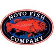 noyofishcompany